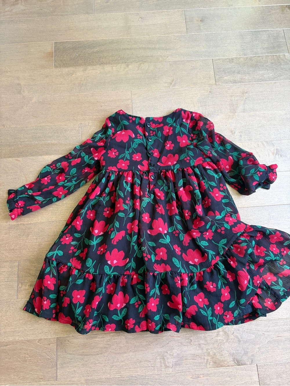 Carter's Black Dress with Red Floral Print and Green Leaves - Picture 4 of 5